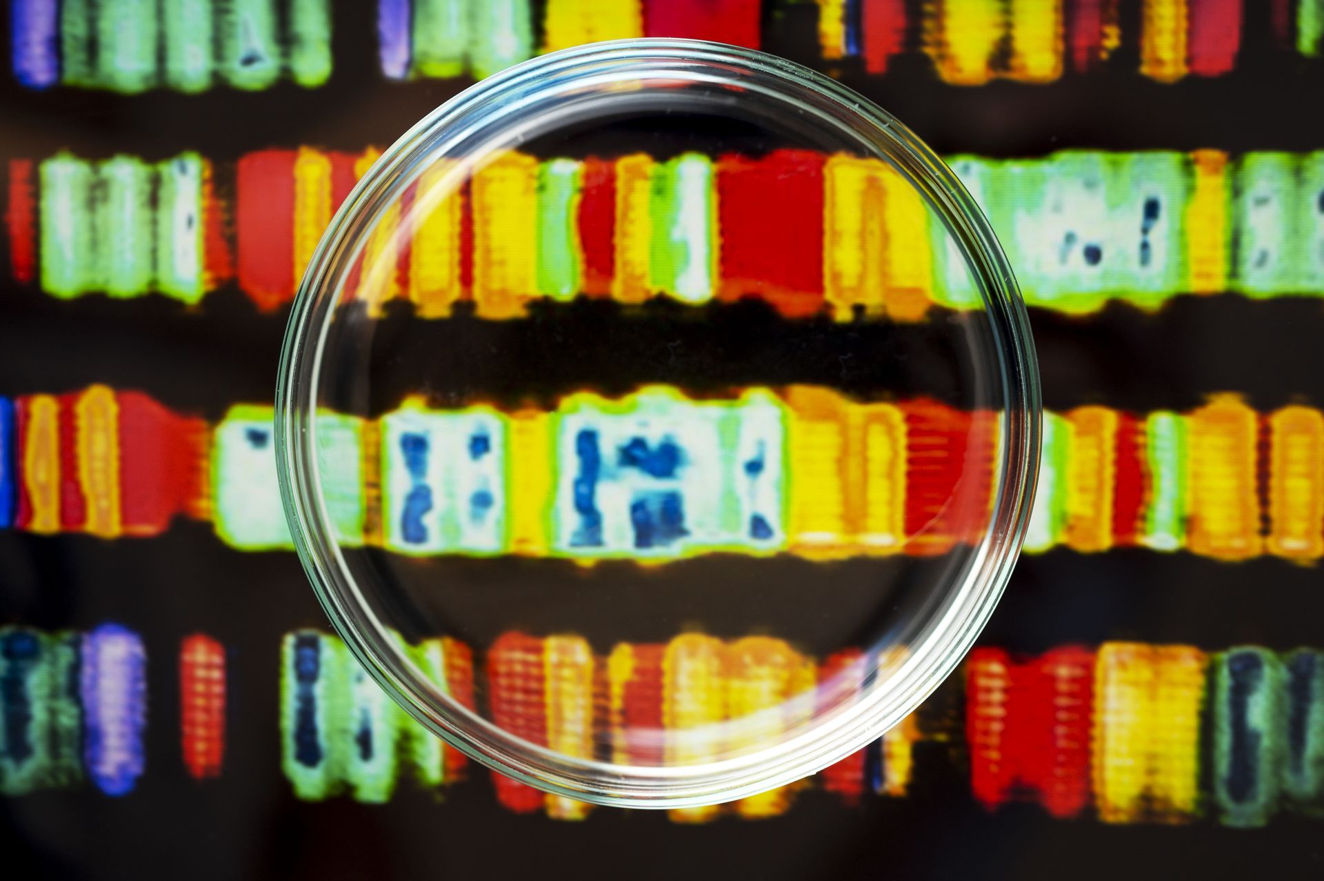 Locked color formulation and bulk production cycle timing